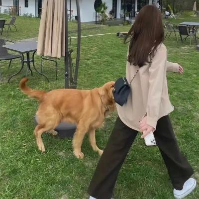 卢米埃：光与影的故事海报